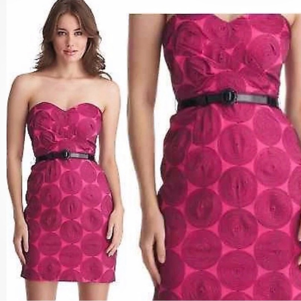 Frock by Tracy Reese Jasmine Belted Embroidered Circle Strapless Dress Size 6